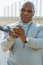 Watch Taking on Tyson Sflix
